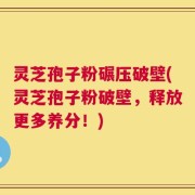 灵芝孢子粉碾压破壁(灵芝孢子粉破壁，释放更多养分！)