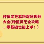 种植灵芝套路深吗视频大全(种植灵芝全攻略，零基础也能上手！)