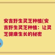 安吉野生灵芝种植(安吉野生灵芝种植：让灵芝健康生长的秘密