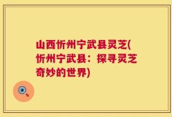 山西忻州宁武县灵芝(忻州宁武县：探寻灵芝奇妙的世界)