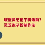破壁灵芝孢子粉饭前？灵芝孢子粉制作法