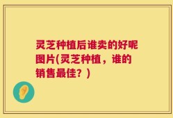 灵芝种植后谁卖的好呢图片(灵芝种植，谁的销售最佳？)