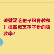 破壁灵芝孢子粉骨转移？提高灵芝孢子粉的吸收率？