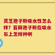 灵芝孢子粉吸水性怎么样？苔藓孢子粉在吸水石上怎样种啊