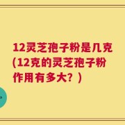 12灵芝孢子粉是几克(12克的灵芝孢子粉作用有多大？)