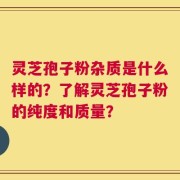 灵芝孢子粉杂质是什么样的？了解灵芝孢子粉的纯度和质量？