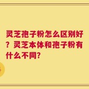 灵芝孢子粉怎么区别好？灵芝本体和孢子粉有什么不同？