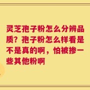 灵芝孢子粉怎么分辨品质？孢子粉怎么样看是不是真的啊，怕被掺一些其他粉啊