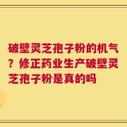 破壁灵芝孢子粉的机气？修正药业生产破壁灵芝孢子粉是真的吗