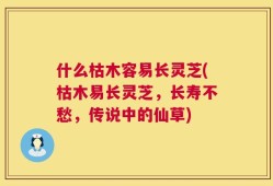 什么枯木容易长灵芝(枯木易长灵芝，长寿不愁，传说中的仙草)