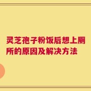 灵芝孢子粉饭后想上厕所的原因及解决方法