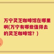 万宁灵芝咖啡馆在哪里啊(万宁有哪些值得去的灵芝咖啡馆？)