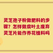 灵芝孢子粉做肥料的步骤？怎样做腐叶土废弃灵芝片能作养花植料吗
