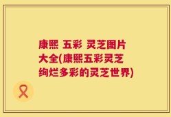 康熙 五彩 灵芝图片大全(康熙五彩灵芝 绚烂多彩的灵芝世界)