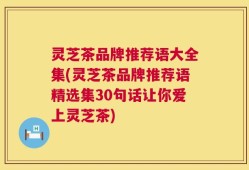 灵芝茶品牌推荐语大全集(灵芝茶品牌推荐语精选集30句话让你爱上灵芝茶)
