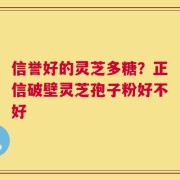 信誉好的灵芝多糖？正信破壁灵芝孢子粉好不好