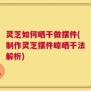 灵芝如何晒干做摆件(制作灵芝摆件晾晒干法解析)