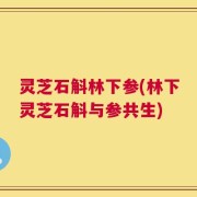 灵芝石斛林下参(林下灵芝石斛与参共生)