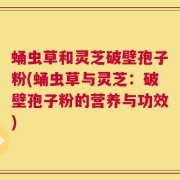 蛹虫草和灵芝破壁孢子粉(蛹虫草与灵芝：破壁孢子粉的营养与功效)