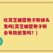 吃灵芝破壁袍子粉掉头发吗(灵芝破壁袍子粉会导致脱发吗？)