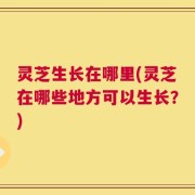 灵芝生长在哪里(灵芝在哪些地方可以生长？)