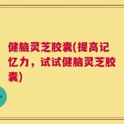 健脑灵芝胶囊(提高记忆力，试试健脑灵芝胶囊)
