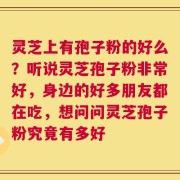 灵芝上有孢子粉的好么？听说灵芝孢子粉非常好，身边的好多朋友都在吃，想问问灵芝孢子粉究竟有多好