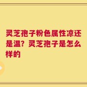 灵芝孢子粉色属性凉还是温？灵芝孢子是怎么样的