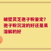 破壁灵芝孢子粉鉴定？孢子粉沉淀的好还是易溶解的好