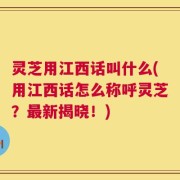 灵芝用江西话叫什么(用江西话怎么称呼灵芝？最新揭晓！)