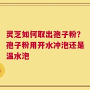 灵芝如何取出孢子粉？孢子粉用开水冲泡还是温水泡