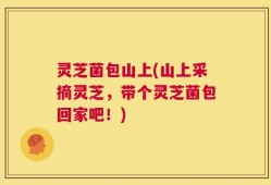 灵芝菌包山上(山上采摘灵芝，带个灵芝菌包回家吧！)