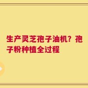 生产灵芝孢子油机？孢子粉种植全过程