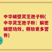 中华破壁灵芝孢子粉(中华灵芝孢子粉：解密破壁功效，释放更多营养)