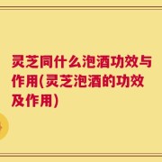 灵芝同什么泡酒功效与作用(灵芝泡酒的功效及作用)