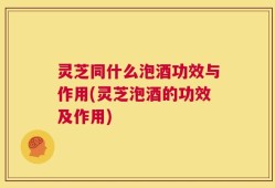 灵芝同什么泡酒功效与作用(灵芝泡酒的功效及作用)