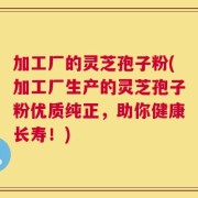 加工厂的灵芝孢子粉(加工厂生产的灵芝孢子粉优质纯正，助你健康长寿！)