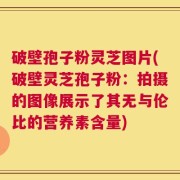 破壁孢子粉灵芝图片(破壁灵芝孢子粉：拍摄的图像展示了其无与伦比的营养素含量)