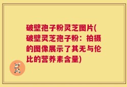 破壁孢子粉灵芝图片(破壁灵芝孢子粉：拍摄的图像展示了其无与伦比的营养素含量)
