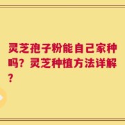 灵芝孢子粉能自己家种吗？灵芝种植方法详解？