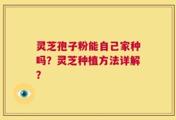 灵芝孢子粉能自己家种吗？灵芝种植方法详解？