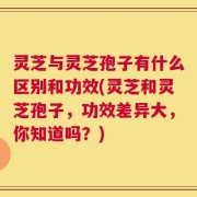 灵芝与灵芝孢子有什么区别和功效(灵芝和灵芝孢子，功效差异大，你知道吗？)