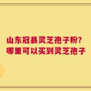 山东冠县灵芝孢子粉？哪里可以买到灵芝孢子