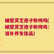 破壁灵芝孢子粉炖鸡(破壁灵芝孢子粉炖鸡：滋补养生佳品)