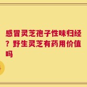 感冒灵芝孢子性味归经？野生灵芝有药用价值吗
