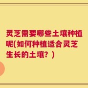 灵芝需要哪些土壤种植呢(如何种植适合灵芝生长的土壤？)