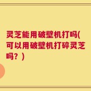 灵芝能用破壁机打吗(可以用破壁机打碎灵芝吗？)
