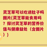 灵芝草可以吃进肚子吗图片(灵芝草能食用吗？探讨灵芝草的营养价值与健康益处（含图片）)