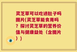 灵芝草可以吃进肚子吗图片(灵芝草能食用吗？探讨灵芝草的营养价值与健康益处（含图片）)