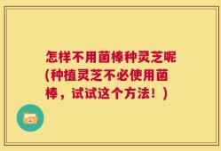 怎样不用菌棒种灵芝呢(种植灵芝不必使用菌棒，试试这个方法！)